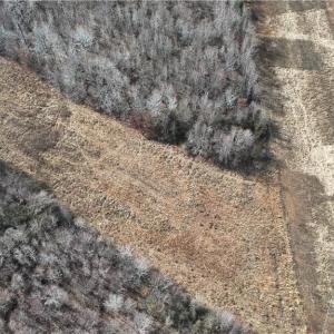 Photo #5 of Pearson farm, Summerfield, NC 3.0 acres