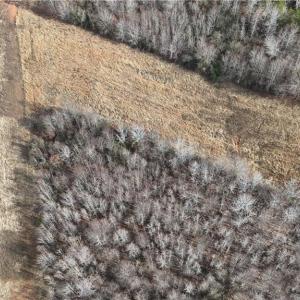 Photo #9 of Pearson farm, Summerfield, NC 3.0 acres