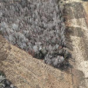 Photo #4 of Pearson farm, Summerfield, NC 3.0 acres