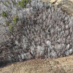 Photo #8 of Pearson farm, Summerfield, NC 3.0 acres