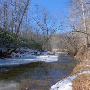 Photo #12 of Otis Woods, Danbury, NC 128.9 acres