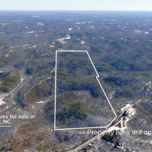 Photo #3 of Otis Woods, Danbury, NC 128.9 acres