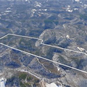 Photo #1 of Otis Woods, Danbury, NC 128.9 acres