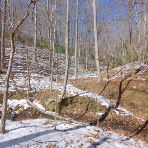 Photo #28 of Otis Woods, Danbury, NC 128.9 acres