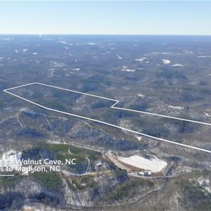 Photo #5 of Otis Woods, Danbury, NC 128.9 acres