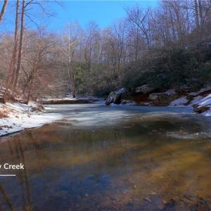 Photo #9 of Otis Woods, Danbury, NC 128.9 acres