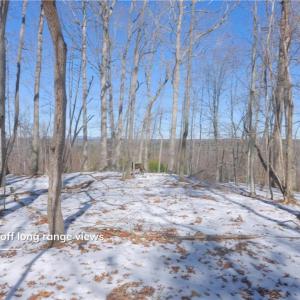 Photo #30 of Otis Woods, Danbury, NC 128.9 acres