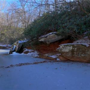 Photo #10 of Otis Woods, Danbury, NC 128.9 acres