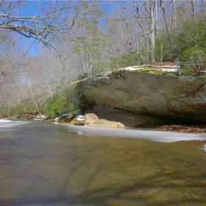 Photo #15 of Otis Woods, Danbury, NC 128.9 acres