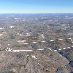 Photo #35 of Otis Woods, Danbury, NC 128.9 acres