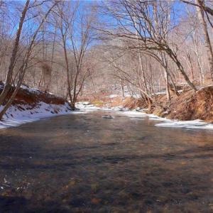 Photo #8 of Otis Woods, Danbury, NC 128.9 acres