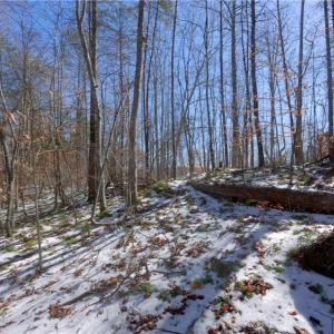 Photo #27 of Otis Woods, Danbury, NC 128.9 acres