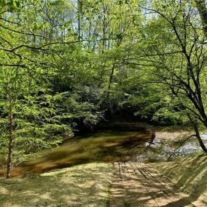 Photo #12 of Otis Woods, Danbury, NC 128.9 acres