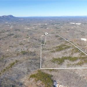 Photo #9 of Otis Woods, Danbury, NC 128.9 acres
