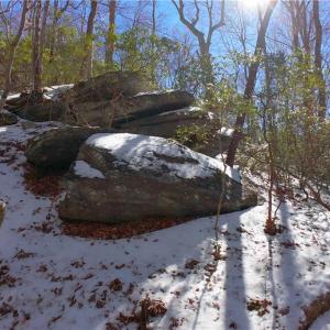 Photo #24 of Otis Woods, Danbury, NC 128.9 acres