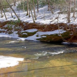Photo #34 of Otis Woods, Danbury, NC 128.9 acres