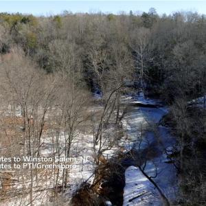 Photo #10 of Otis Woods, Danbury, NC 128.9 acres