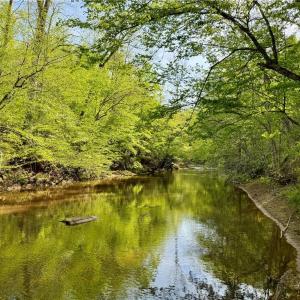 Photo #14 of Otis Woods, Danbury, NC 128.9 acres