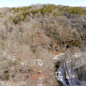 Photo #41 of Otis Woods, Danbury, NC 128.9 acres