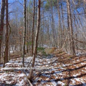 Photo #31 of Otis Woods, Danbury, NC 128.9 acres