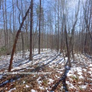 Photo #29 of Otis Woods, Danbury, NC 128.9 acres