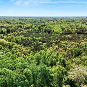 Photo #6 of 2106 School, Winston-Salem, NC 17.9 acres