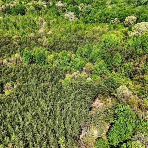 Photo #4 of 2106 School, Winston-Salem, NC 17.9 acres