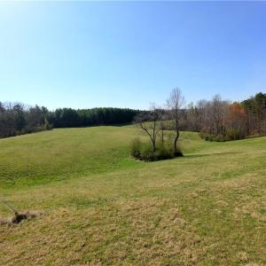 Photo #6 of 1019-11 George, Westfield, NC 12.9 acres