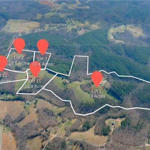 Photo #13 of 1019-11 George, Westfield, NC 12.9 acres