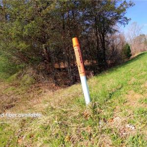 Photo #16 of 1019-11 George, Westfield, NC 12.9 acres