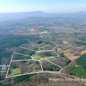 Photo #12 of 1019-11 George, Westfield, NC 12.9 acres