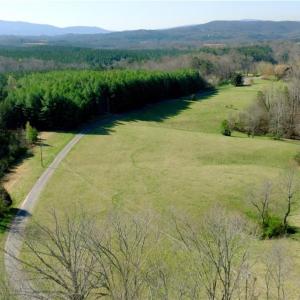 Photo #7 of 1019-11 George, Westfield, NC 12.9 acres