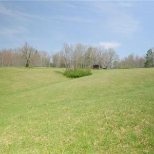 Photo #5 of 1019-11 George, Westfield, NC 12.9 acres