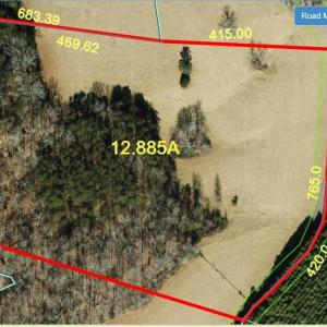 Photo #18 of 1019-11 George, Westfield, NC 12.9 acres