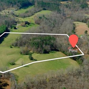 Photo #2 of 1019-11 George, Westfield, NC 12.9 acres