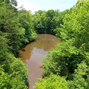 Photo #20 of 1019-11 George, Westfield, NC 12.9 acres