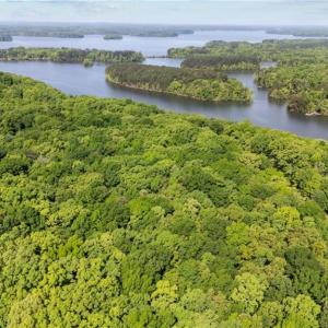 Photo #2 of 1799 Rocky Cove, Denton, NC 2.5 acres