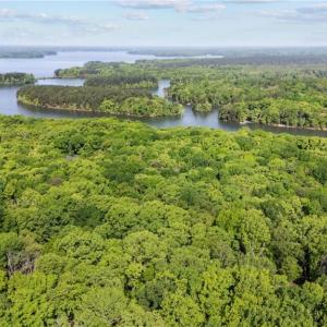 Photo #3 of 1799 Rocky Cove, Denton, NC 2.5 acres
