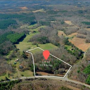 Photo #2 of 1019-12 George, Westfield, NC 10.9 acres