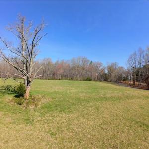 Photo #12 of 1019-12 George, Westfield, NC 10.9 acres