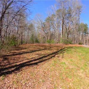 Photo #10 of 1019-12 George, Westfield, NC 10.9 acres