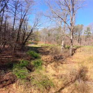Photo #14 of 1019-12 George, Westfield, NC 10.9 acres