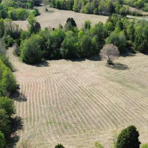 Photo #17 of 01 Riverside, Eden, NC 10.0 acres