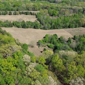 Photo #7 of 01 Riverside, Eden, NC 10.0 acres