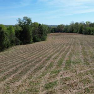 Photo #3 of 01 Riverside, Eden, NC 10.0 acres