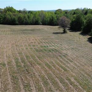 Photo #14 of 01 Riverside, Eden, NC 10.0 acres