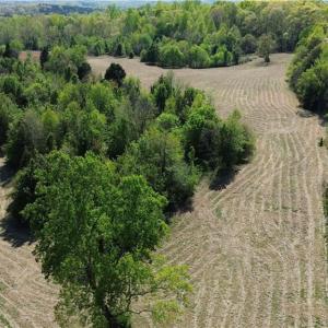 Photo #15 of 01 Riverside, Eden, NC 10.0 acres