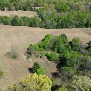 Photo #19 of 01 Riverside, Eden, NC 10.0 acres