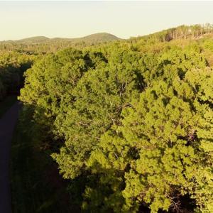 Photo #1 of 303 Healing Springs, Denton, NC 2.4 acres