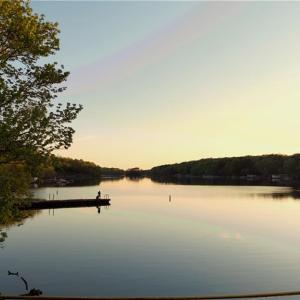 Photo #4 of 303 Healing Springs, Denton, NC 2.4 acres